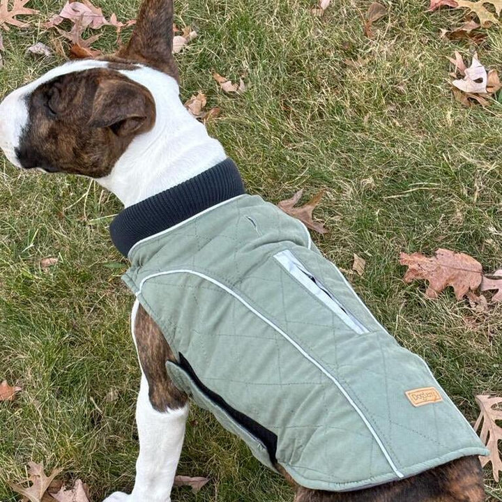 Waterproof Vest With Elastic Collar | Bull Terrier World