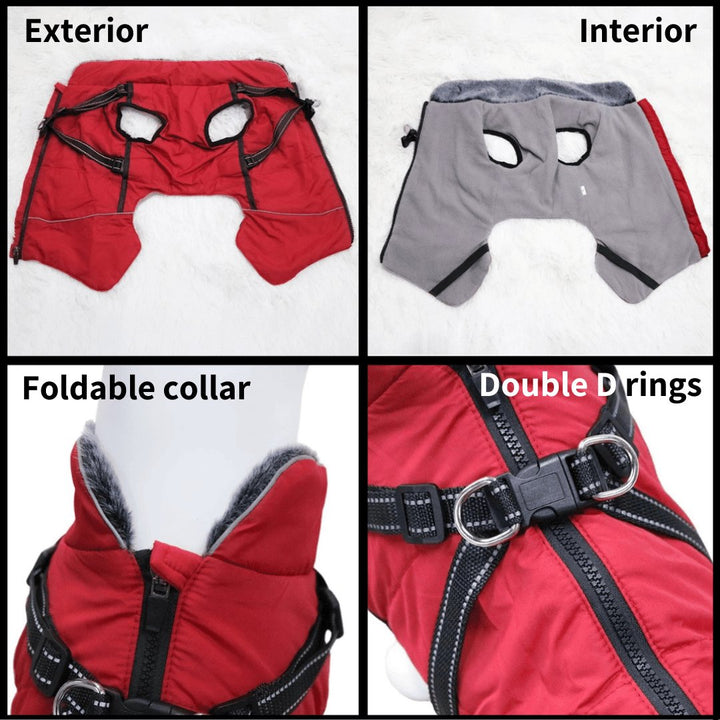 Winter Vest With Harness | Bull Terrier World